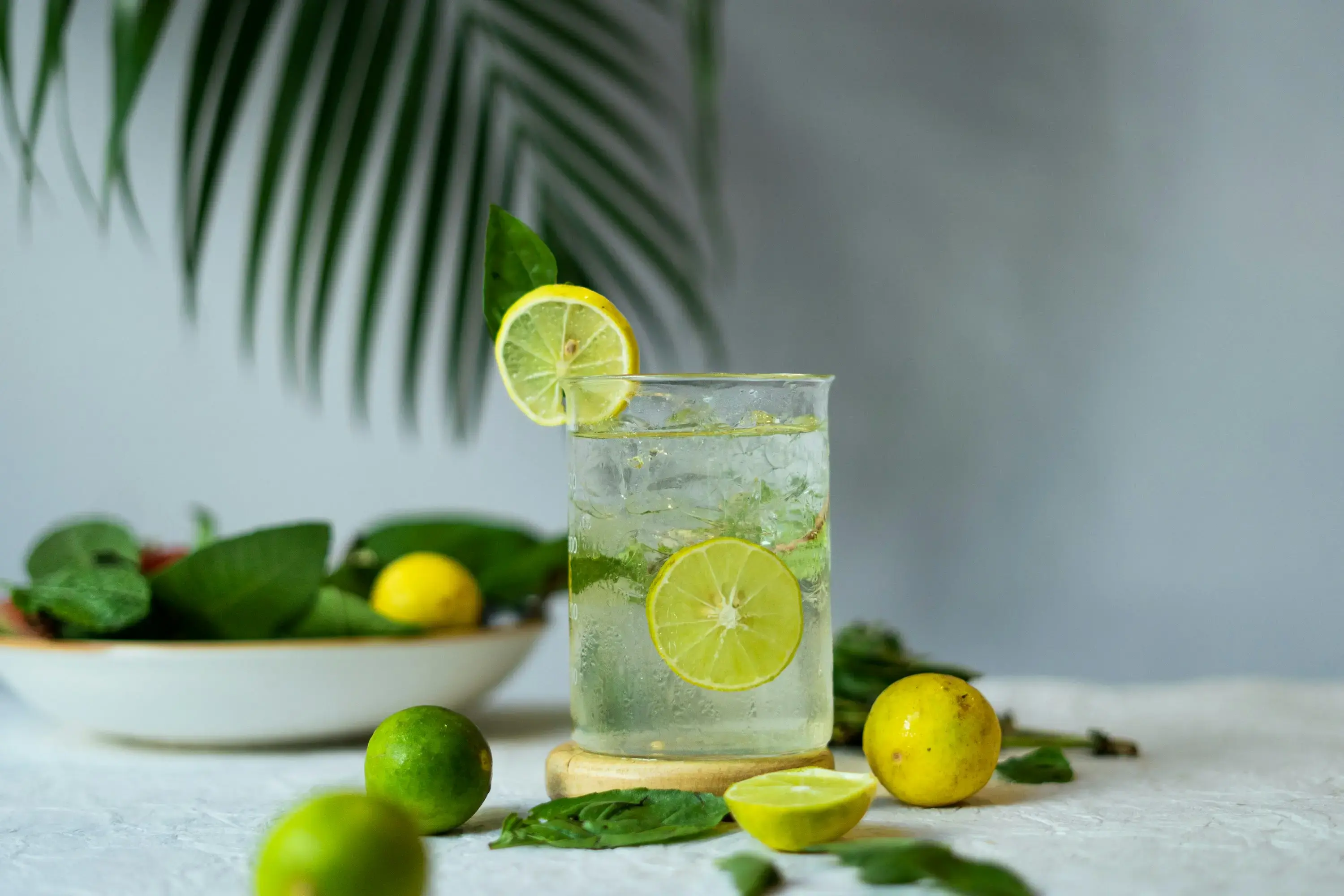 Fresh Lemonade